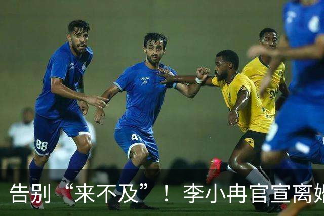 告别“来不及”！李小冉官宣离婚